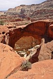USA cassidy arch.JPG